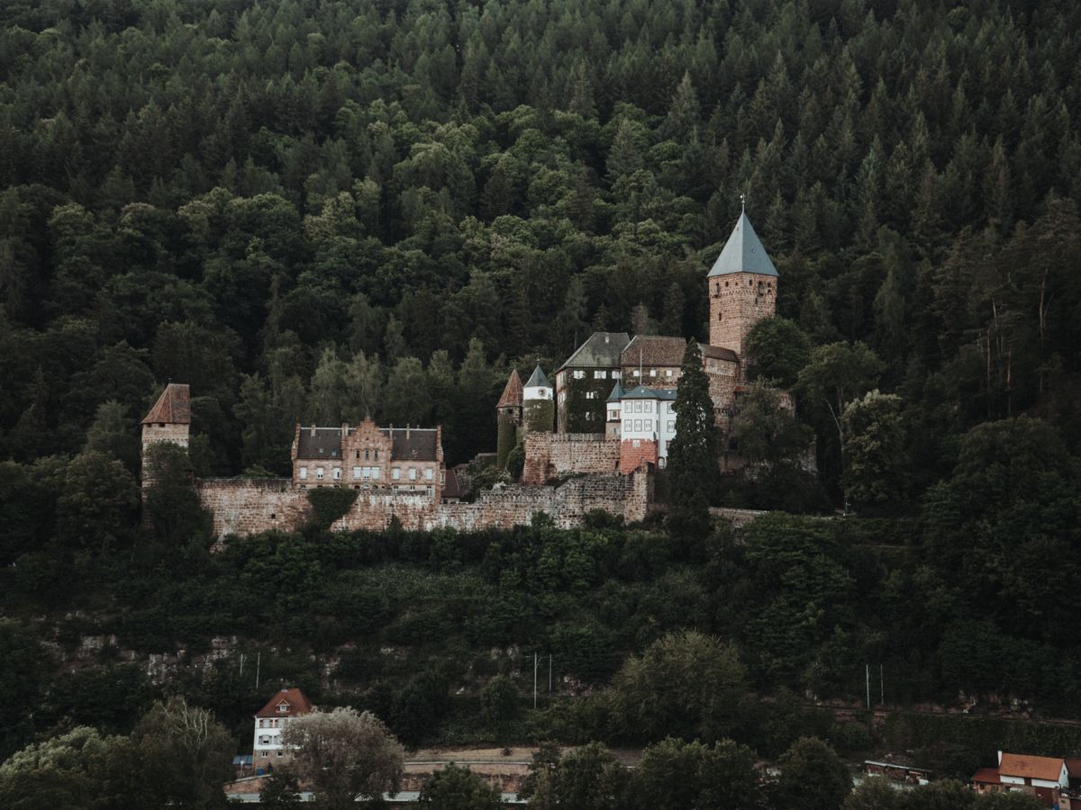 3 Day Inner Child Healing & Yin Yoga Retreat in Germany 1