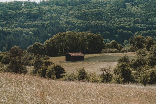 View of a Building on a Meadow in the Countryside 