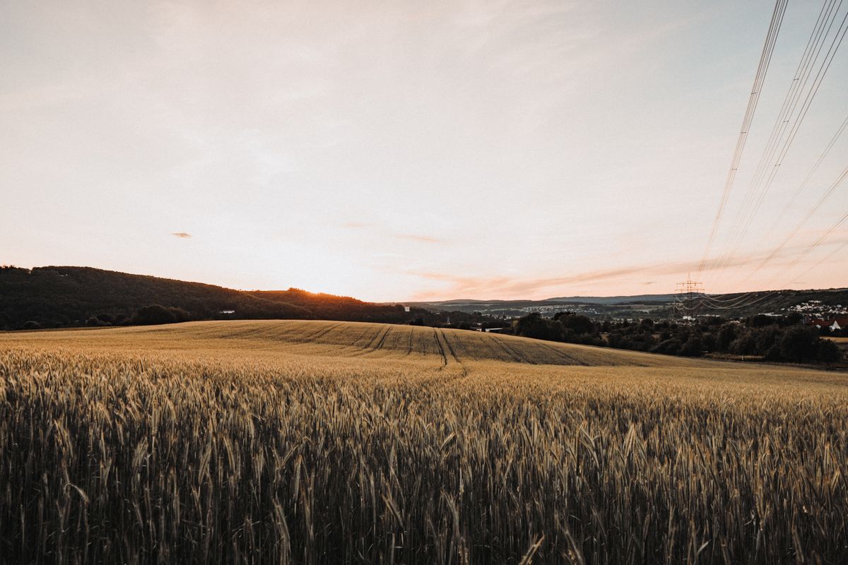 Green, Rural Field · Free Stock Photo