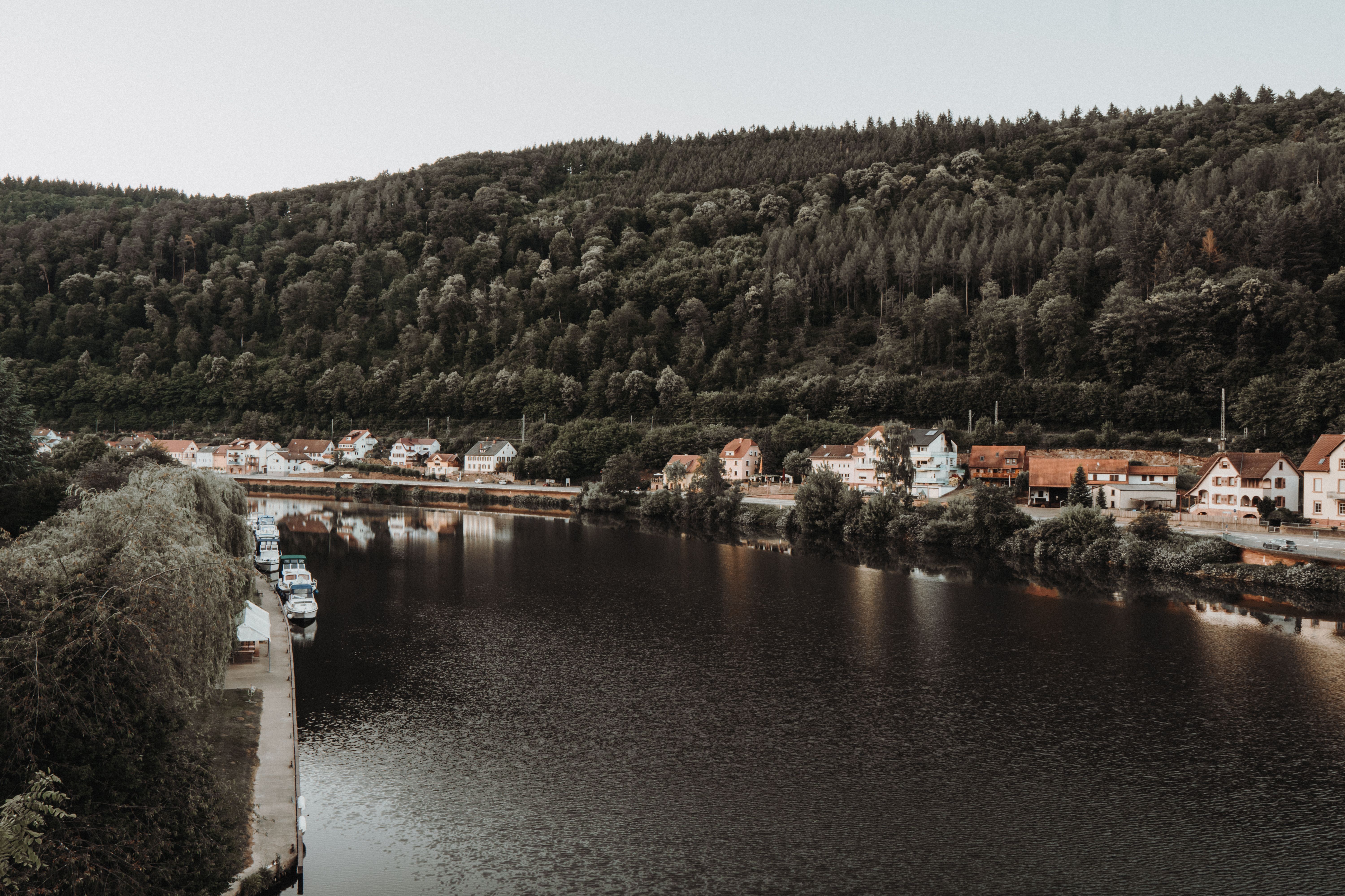 A peaceful riverside town set against lush, forested hills under a bright sky.