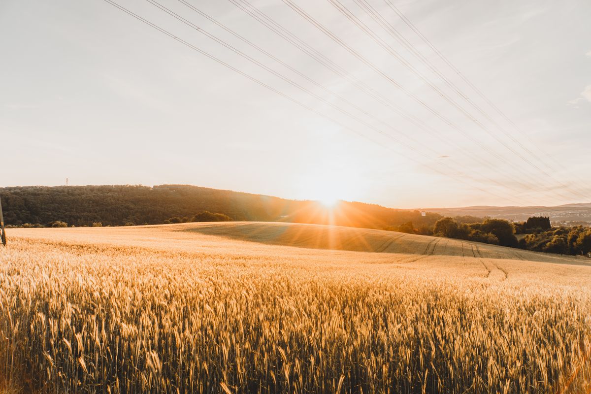 Green, Rural Field · Free Stock Photo