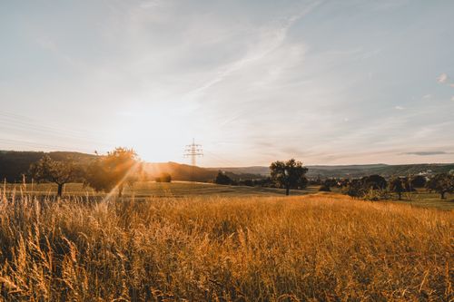 Free A picturesque sunset scene over a wheat field, capturing the essence of summer and rural tranquility. Stock Photo