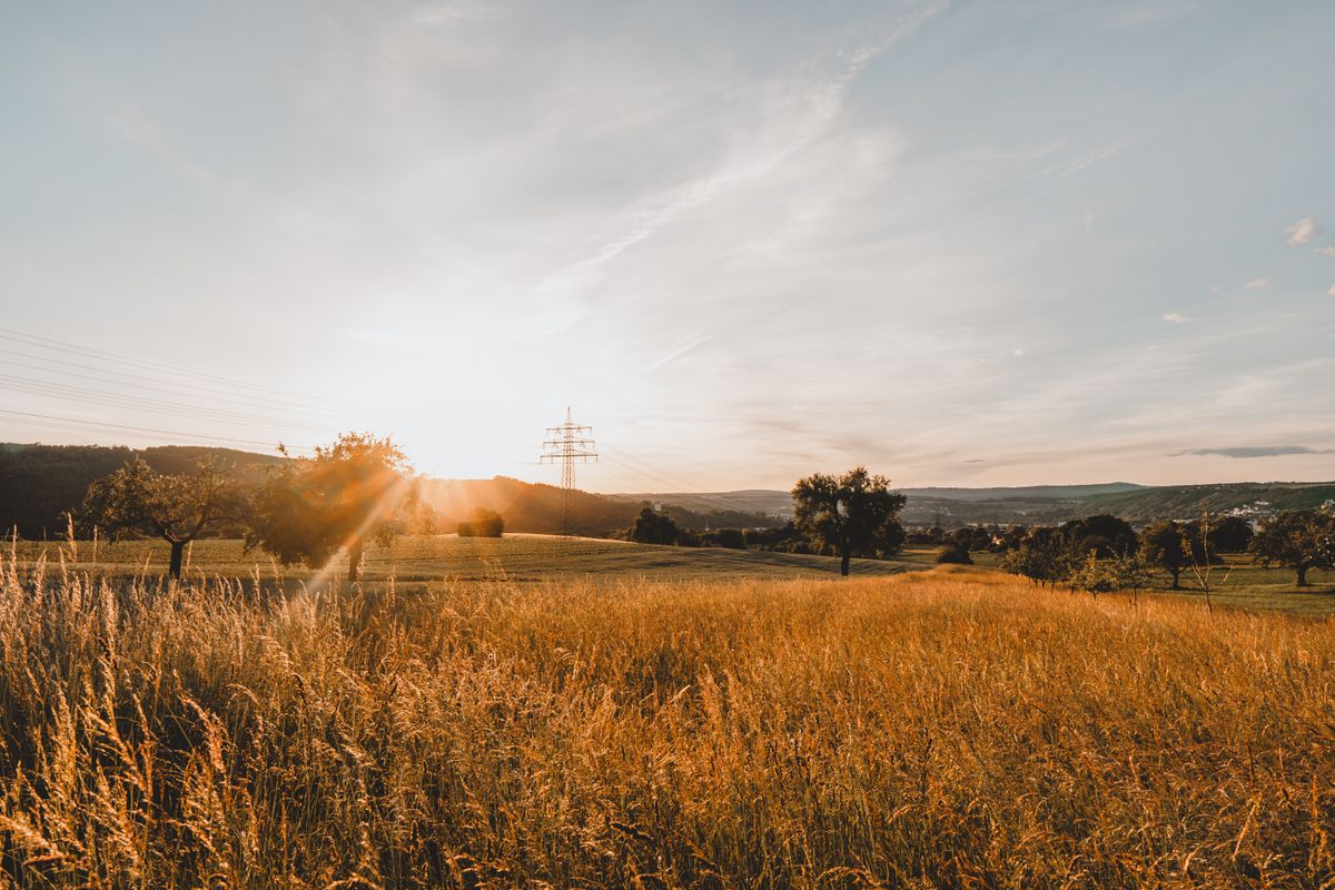 Green, Rural Field · Free Stock Photo