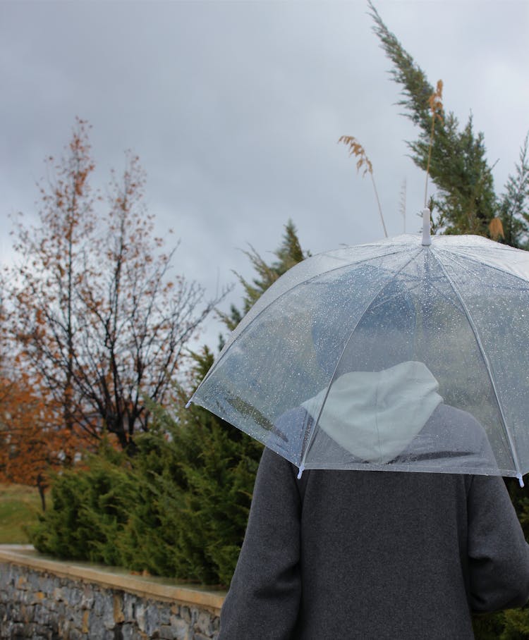 Person With Umbrella