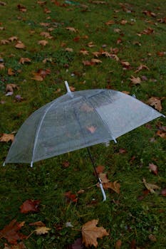 A clear umbrella rests on damp grass surrounded by fallen autumn leaves.