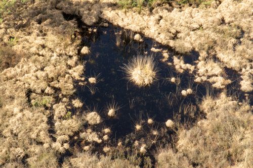 Free Aerial shot of a marshland area with puddles, grass, and surrounding dry vegetation. Stock Photo