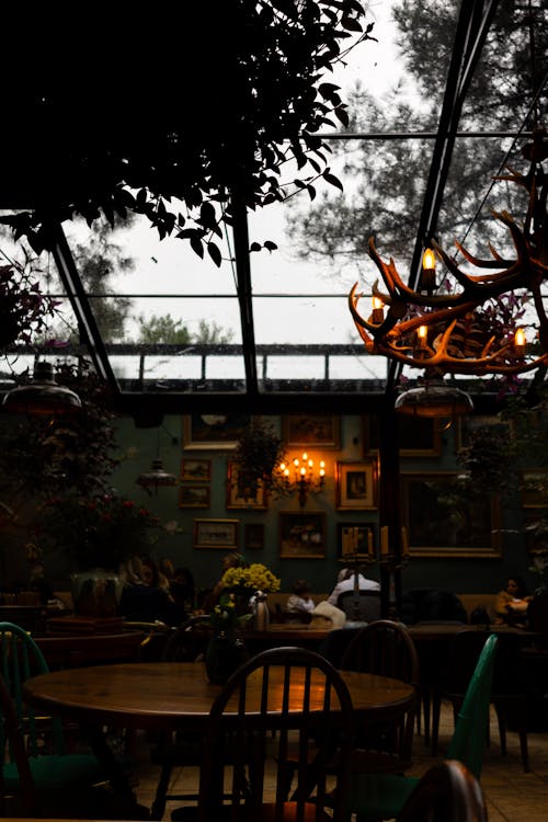 Free stock photo of cafe interior, cosy, glass roof