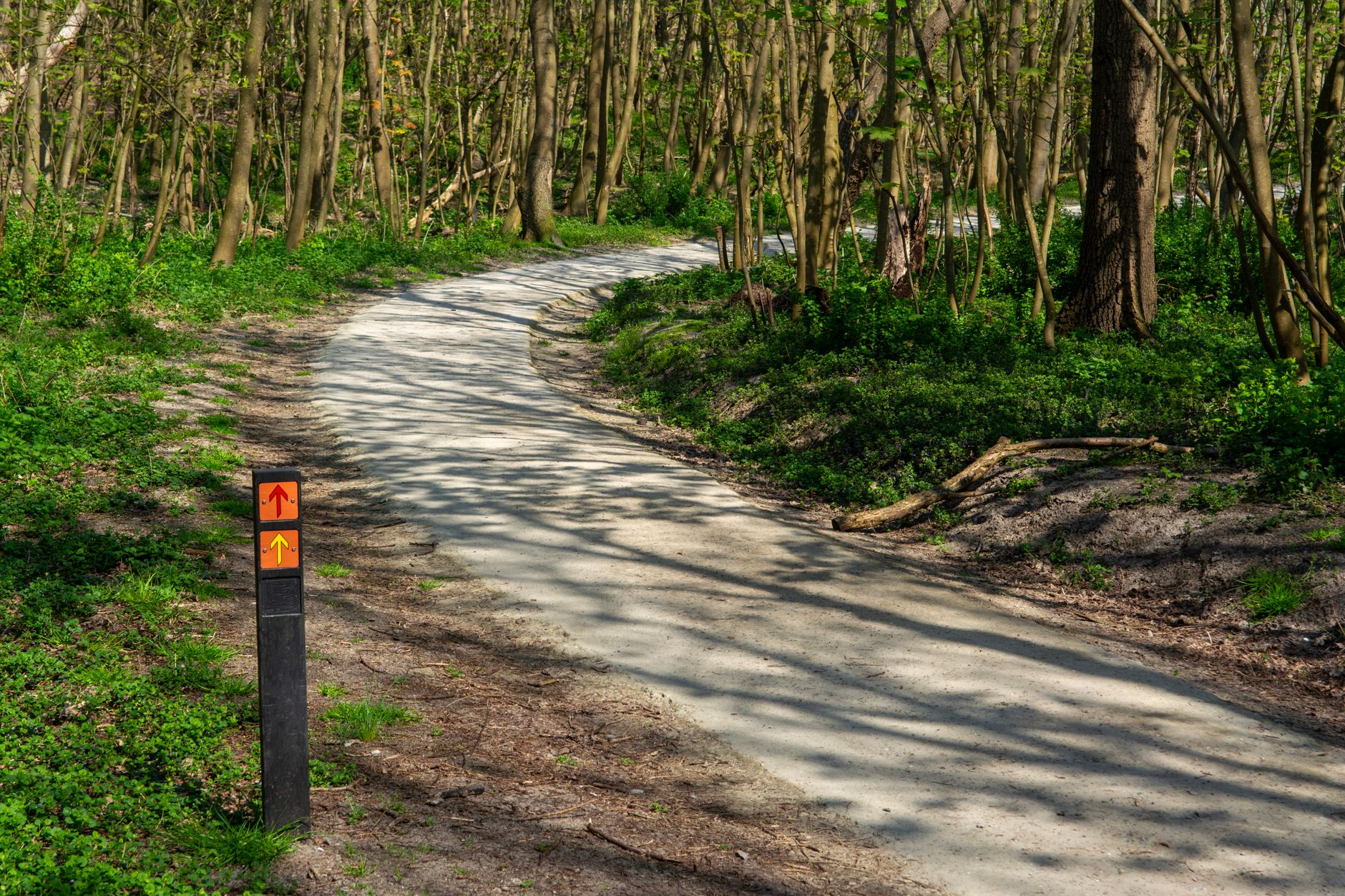 Paved greenway path winding through wooded parkland in Springfield