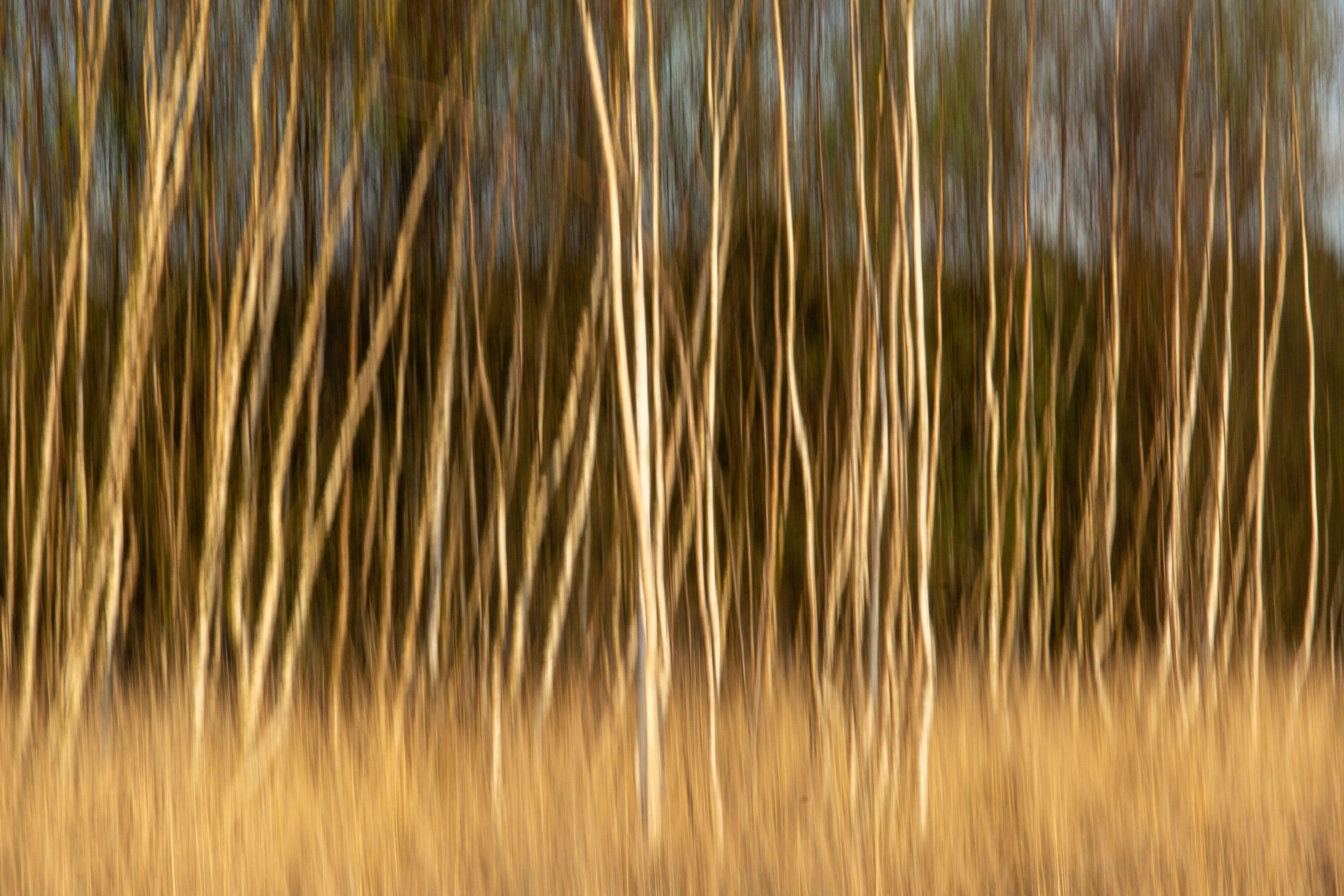 nature exposure