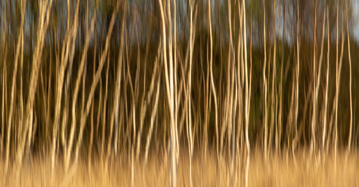 nature exposure