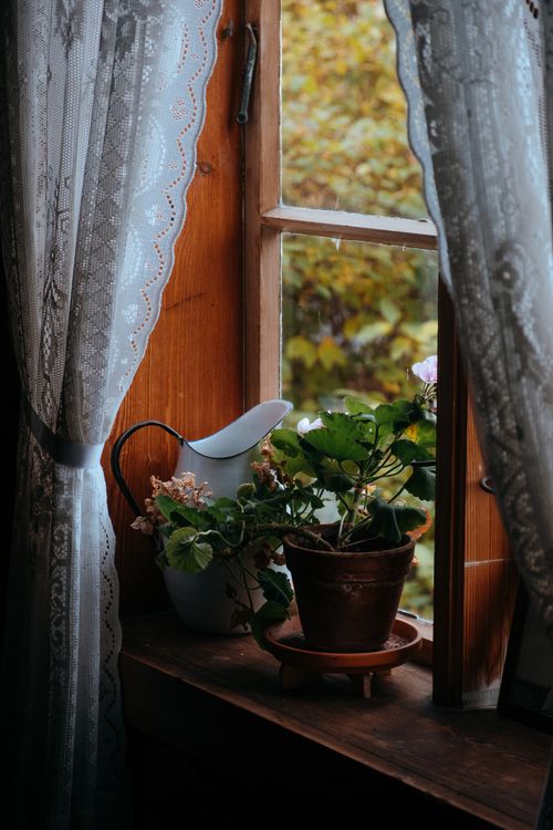Free A quaint window sill with lace curtains and potted plants, evoking a cozy atmosphere. Stock Photo