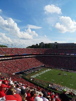 A fan checking the Official Georgia Bulldogs athletics portal on a smartphone