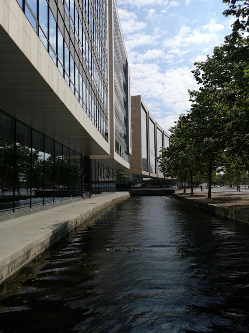 Gratis stockfoto met bomen, gebouwen, hedendaags