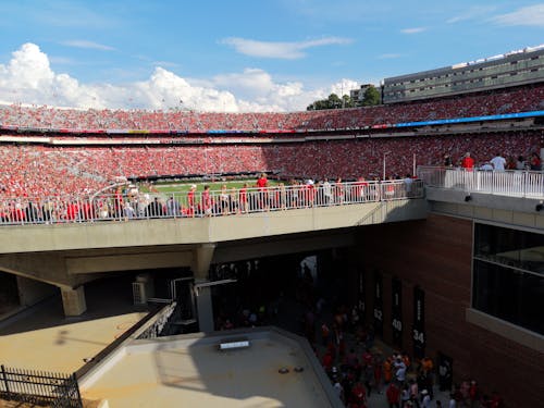 Gratis stockfoto met american football, stadion