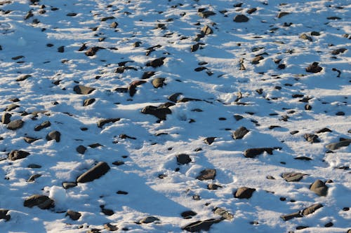 Darmowe zdjęcie z galerii z duże opady śniegu, plaża, rock