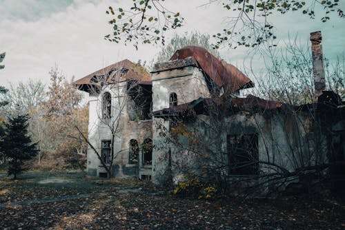 Foto profissional grátis de abandonado, construção abandonada, floresta de outono