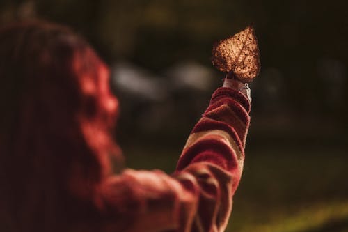 Woman Hand Holding Autumn Leaf