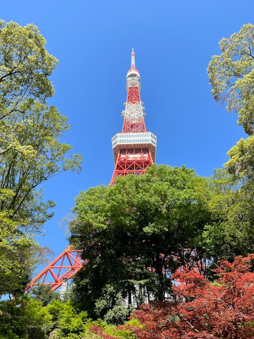 Tokyo Tower - #shotoniphone