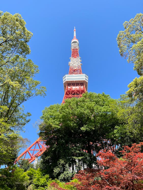 Tokyo Tower - #shotoniphone