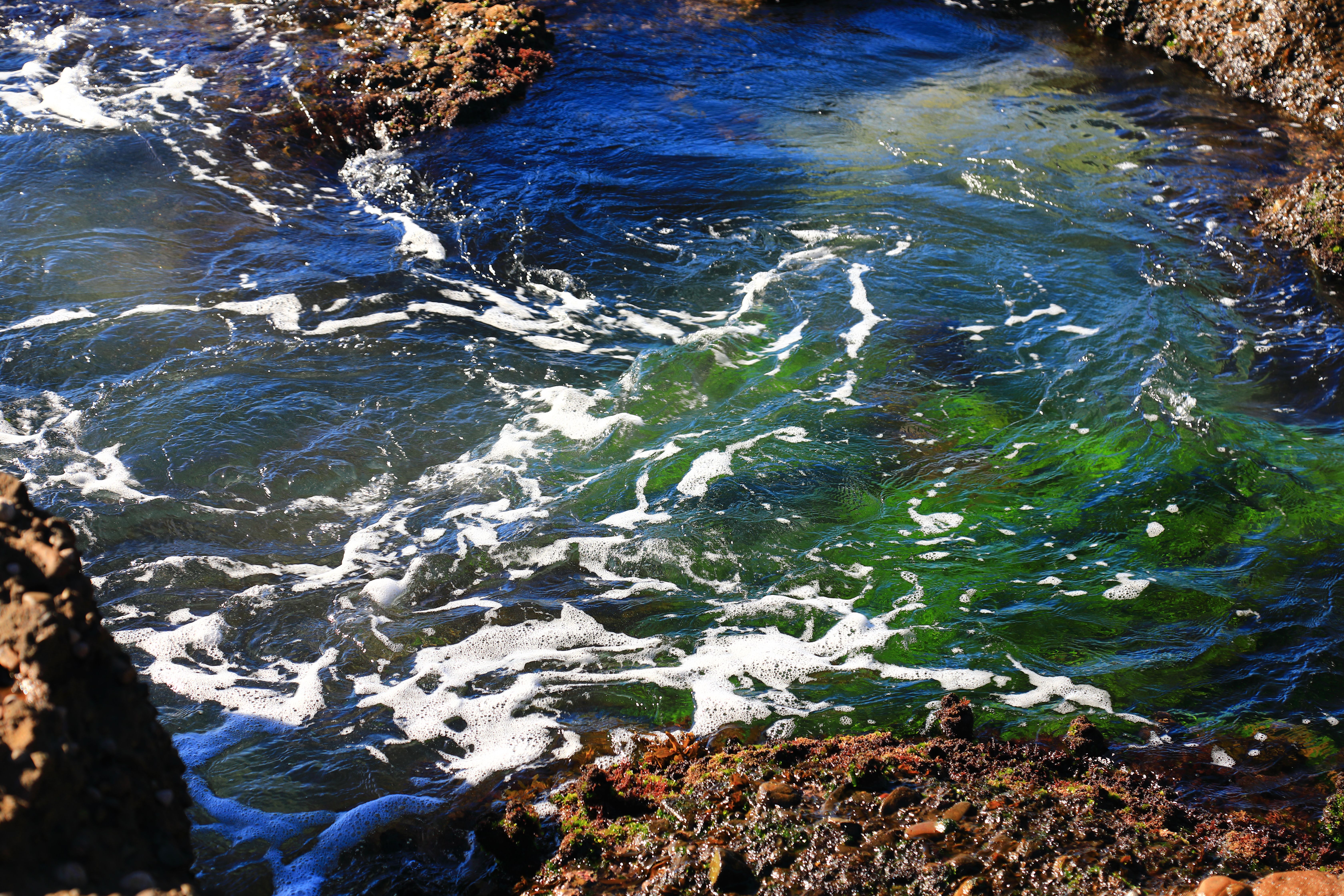 phytoplankton affect color ocean