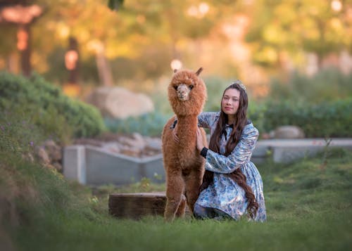 A Woman Posing with an Alpaca 