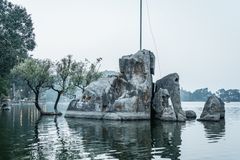 Pedal or row boat on Nakki Lake