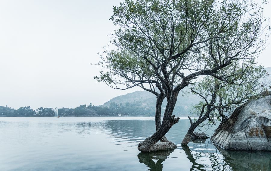 Mount Abu photo 6