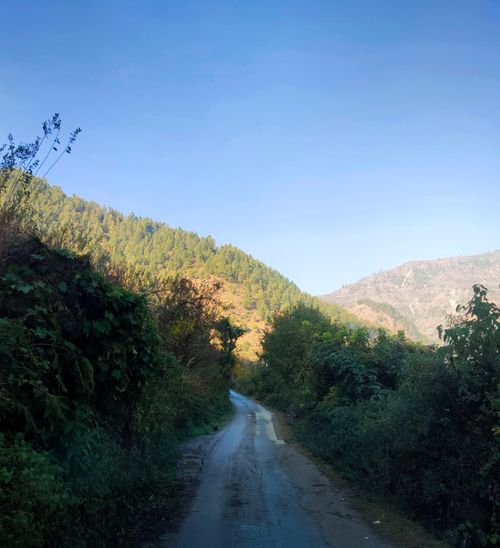 Free The Forgotten Path  Stock Photo