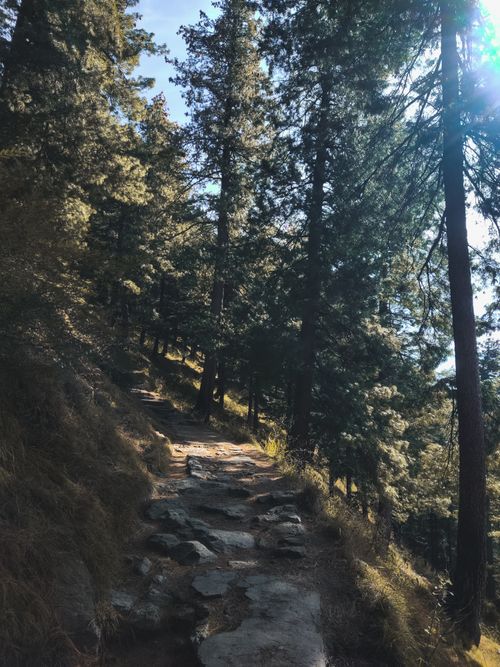 Free Path to Bijlee Mahadev  Stock Photo