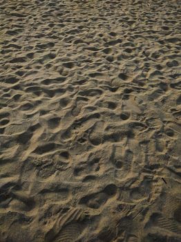 Close-up of sandy beach with numerous footprints, showing intricate patterns under sunlight.