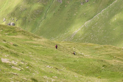 Photos gratuites de colline, gens, marcher