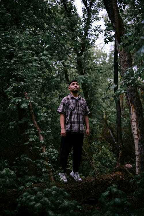 Man Standing in a Forest 