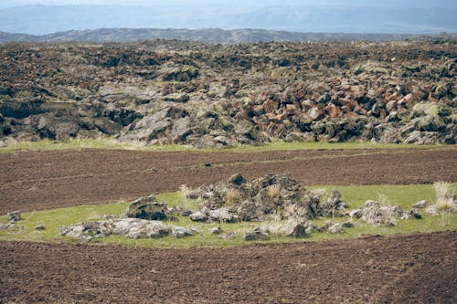 Foto profissional grátis de área, cenário, interior