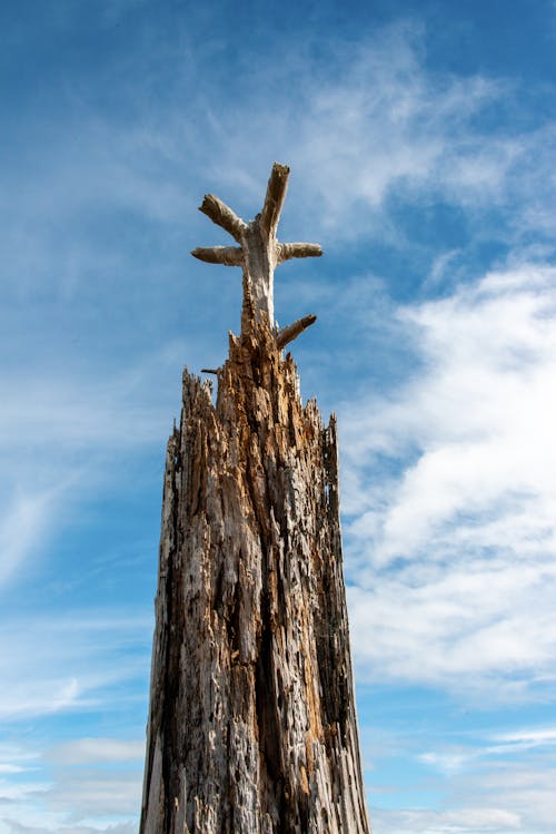 Kostnadsfri bild av erosion, frankrike, natur