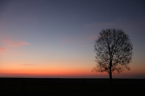 Základová fotografie zdarma na téma čisté nebe, jednotlivý, pláně