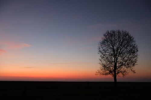 Free Beautiful sunset with a lone tree silhouette in a rural landscape. Perfect for nature themes. Stock Photo