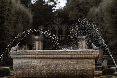 Foto profissional grátis de borrifando, cemitério, fonte