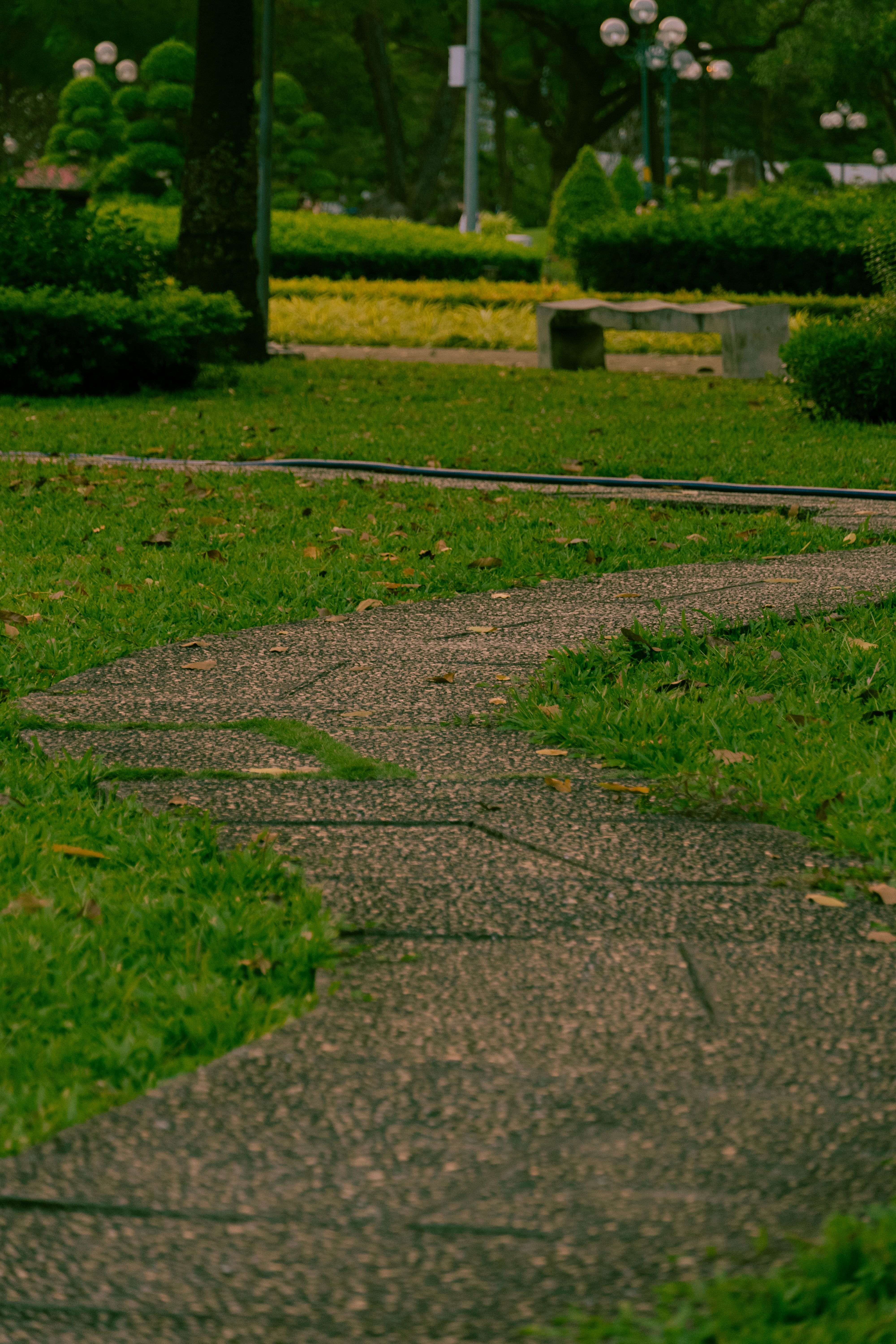 Footpath in Park · Free Stock Photo