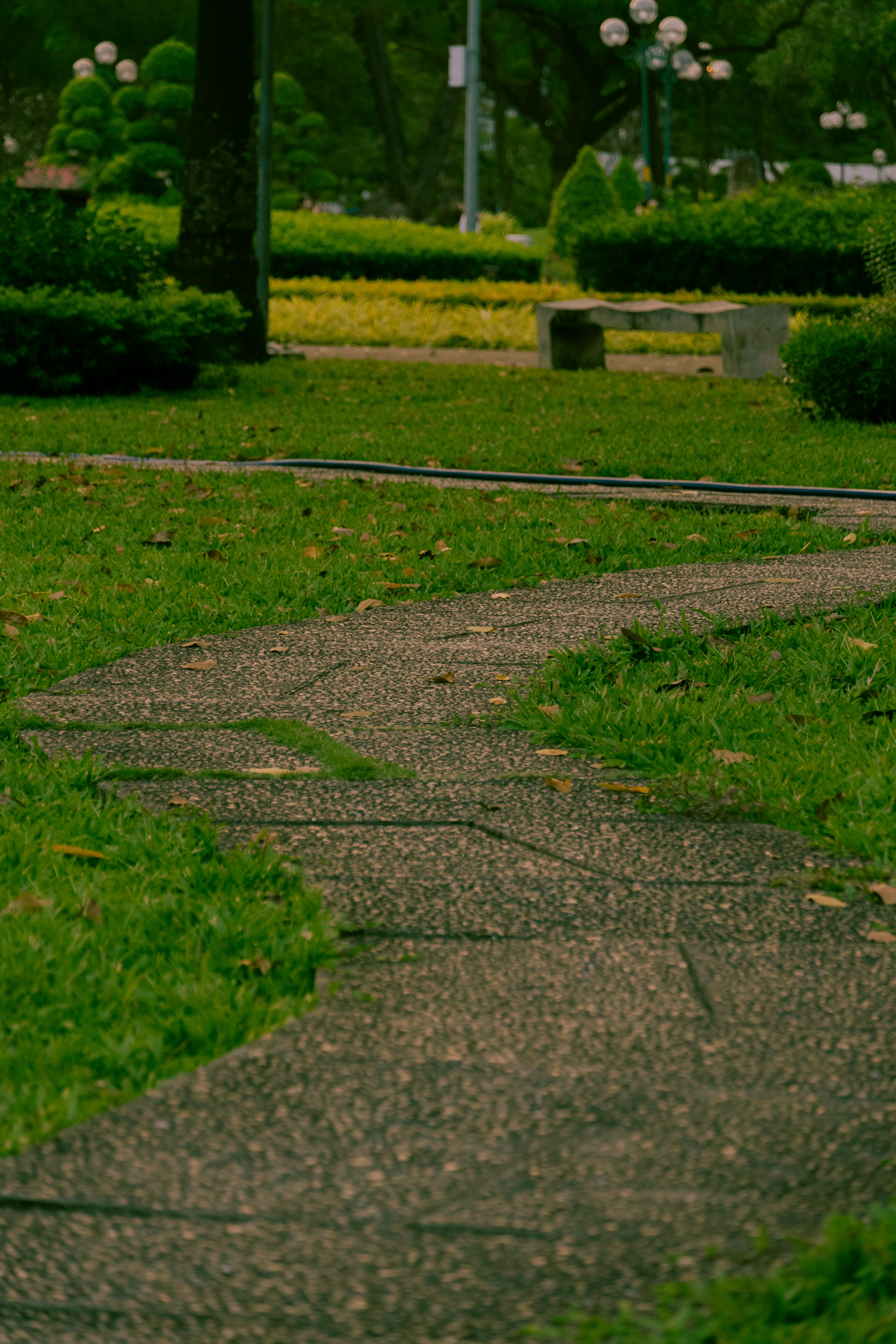 grátis Foto profissional grátis de @exterior, ajardinado, ao ar livre Foto profissional