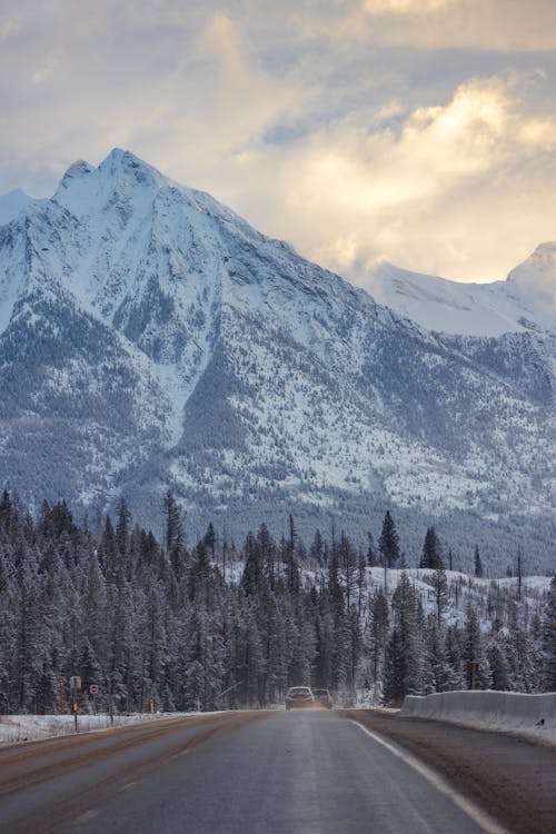 mountans, 冬季, 垂直拍攝 的 免費圖庫相片
