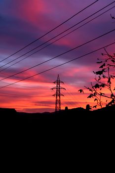 Silhouette of power lines against a dramatic sunset with vibrant pink and purple clouds.