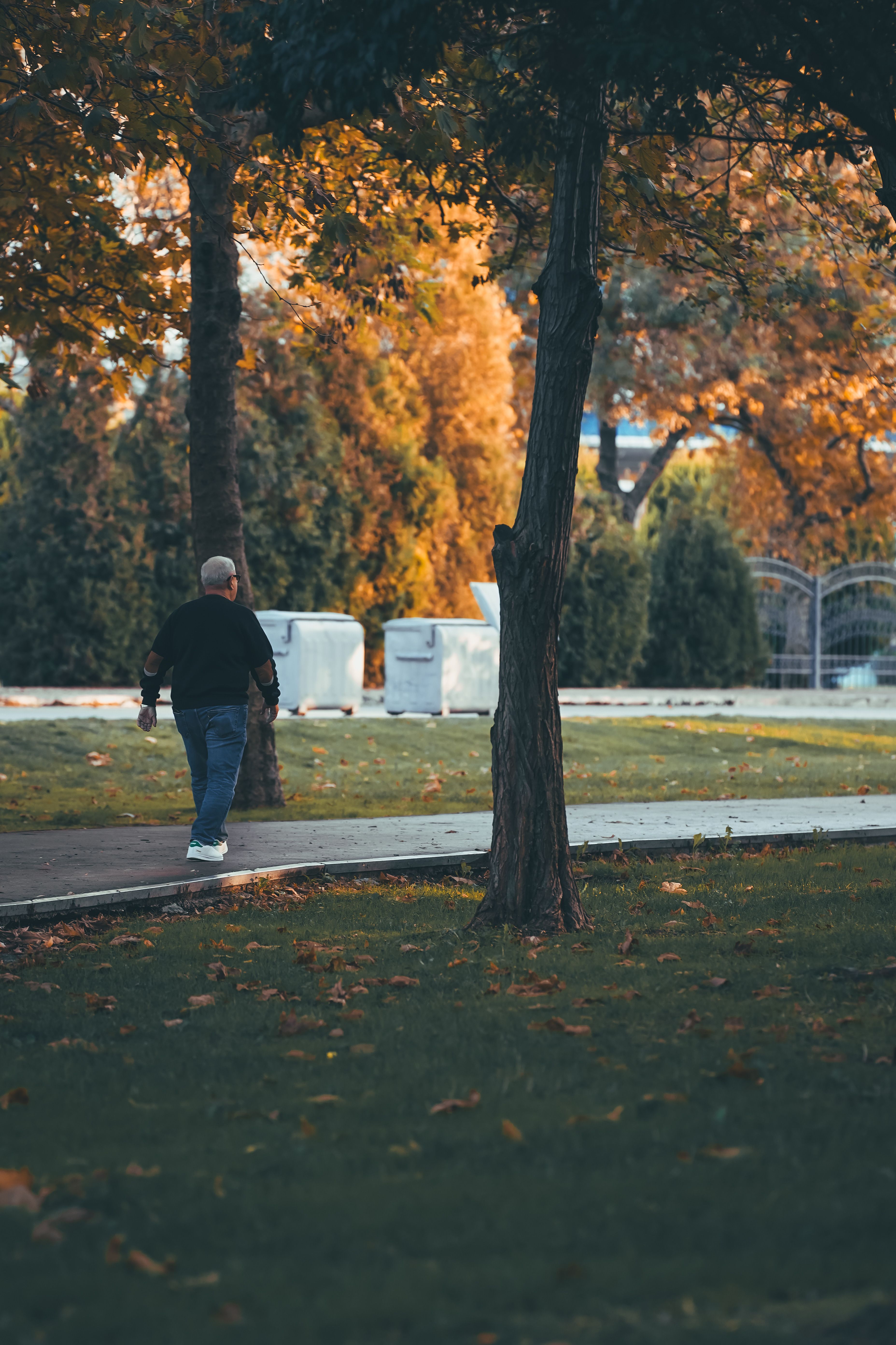 Man Walking in an Autumn Park · Free Stock Photo