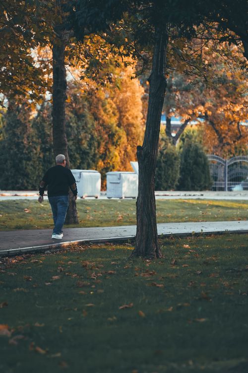 Free Elderly man enjoys a serene walk in an autumn park with vibrant foliage. Stock Photo