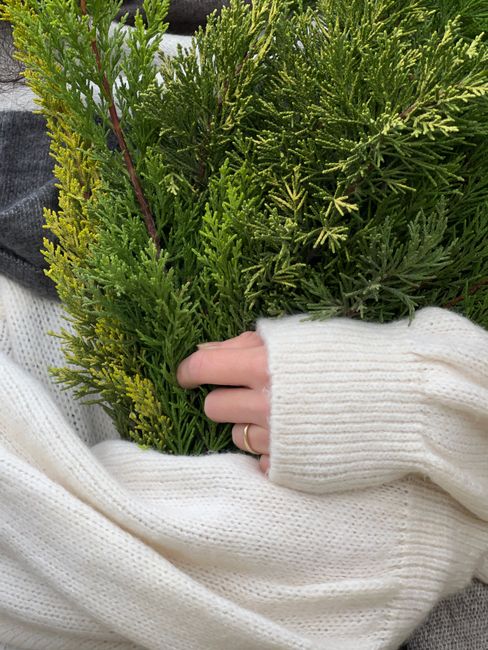 A hand in a sweater holds a lush evergreen plant, embodying a cozy winter feel.