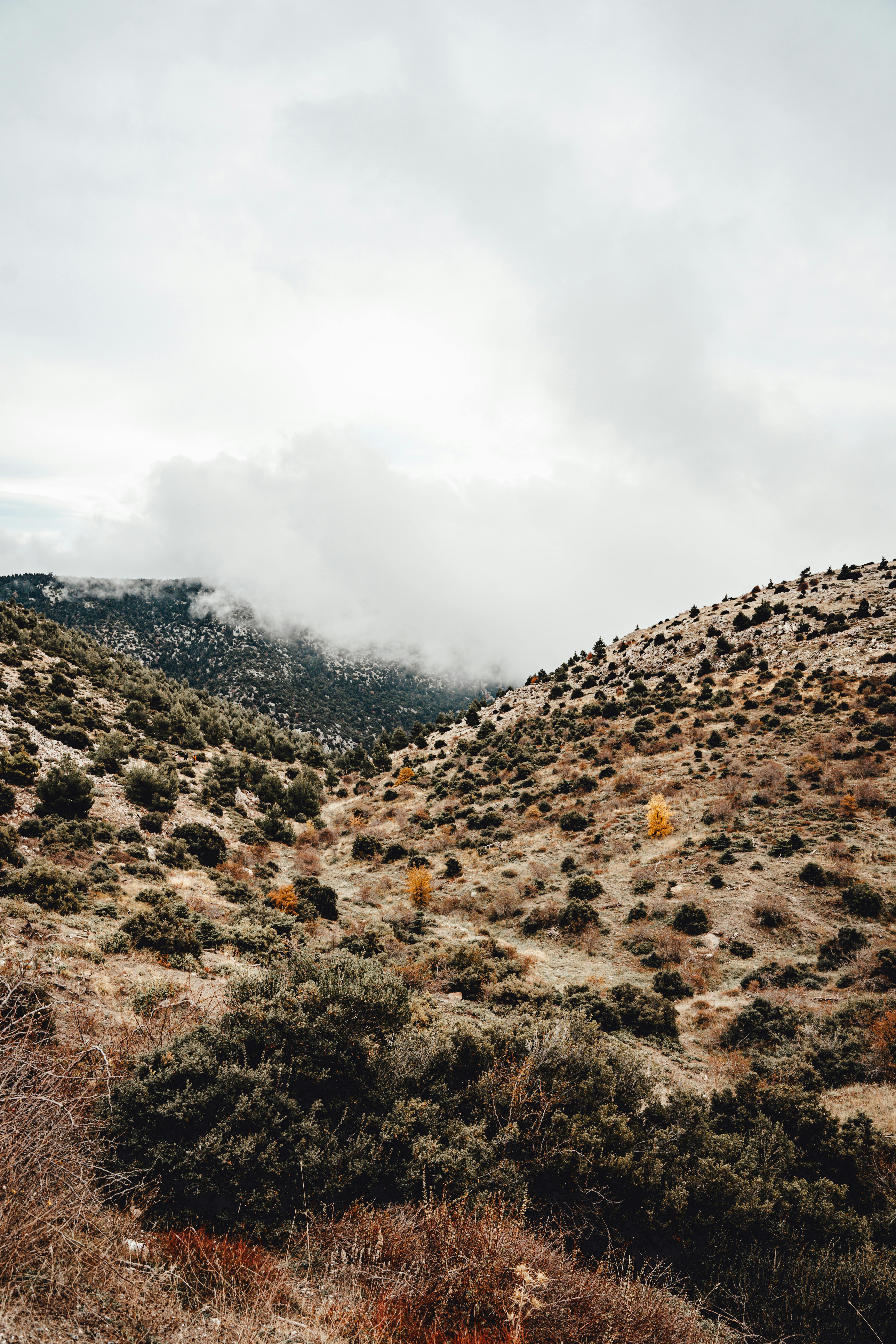 Rock Lava Background Photos, Download The BEST Free Rock Lava