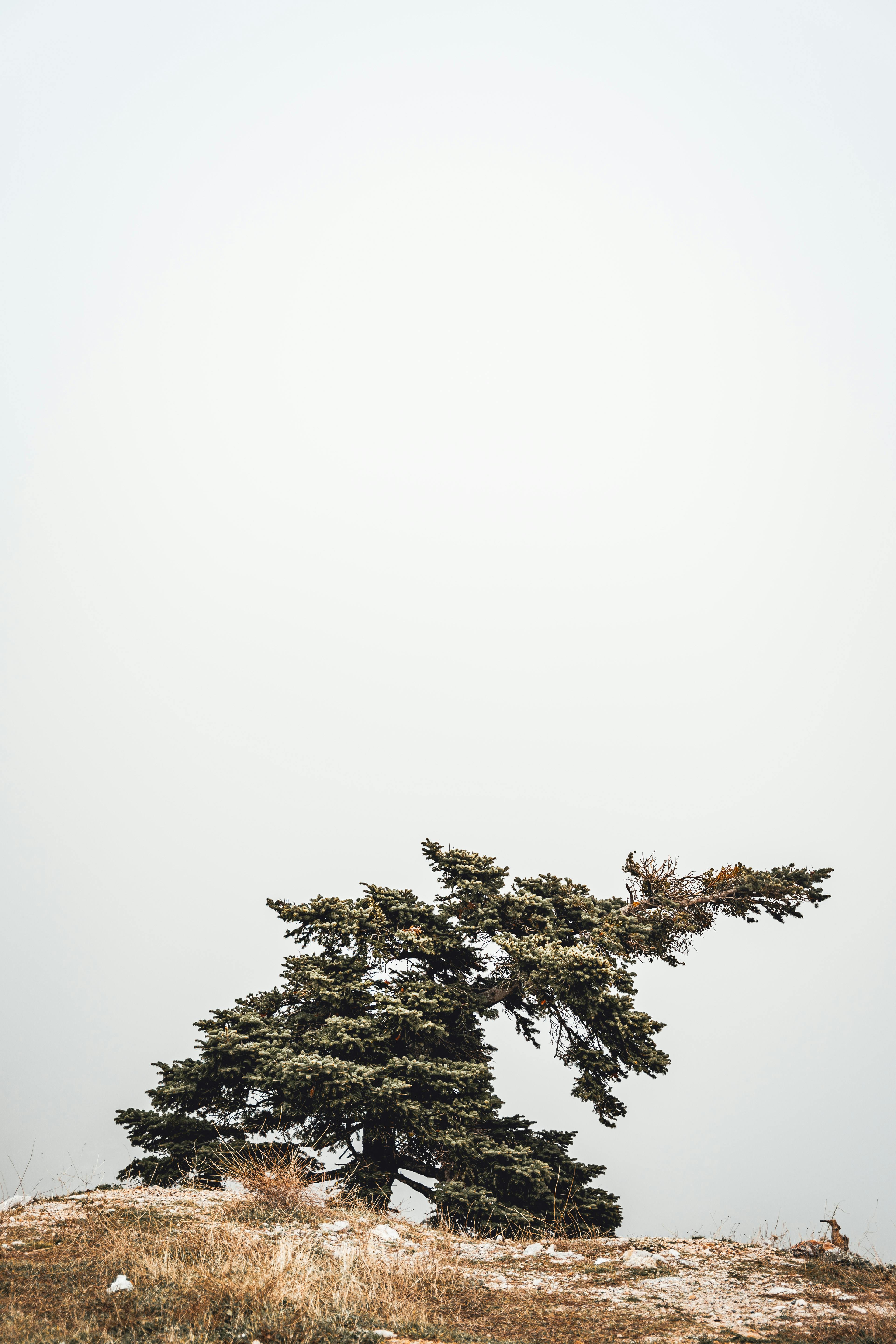 Winter Spring Summer Autumn Winter Photos, Download The BEST Free ...