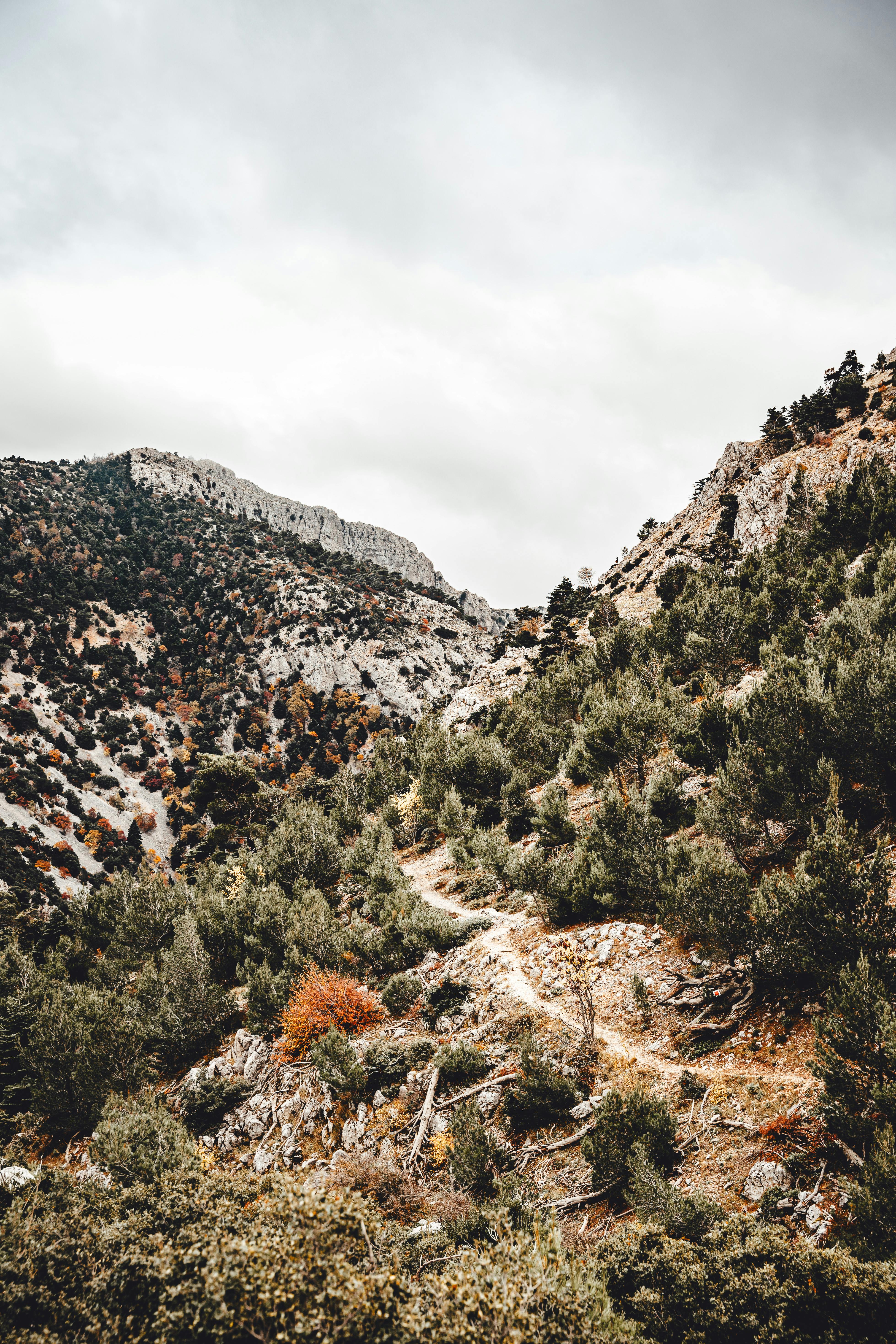 Animated⁢ Good Morning GIFs for a Productive Start