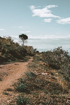 Explore a serene pathway winding through lush countryside, offering a glimpse of nature's tranquility.