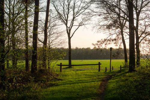 Free Tranquil countryside scene featuring a sunlit meadow, trees, and a rustic wooden fence at twilight. Stock Photo