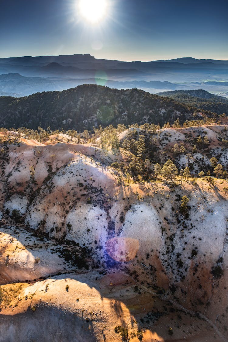 Forest On Hills At Sunset